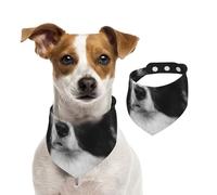 Tcoay Perro Border Collie Mascota,Pañuelo con Babero para Mascotas, pañuelo para Perros y Gatos, Babero de Toalla, Bufanda Ajustable para Mascotas,M