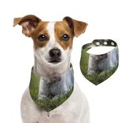 Tcoay Perros Westie Lawn West Highland White Terrier,Pañuelo con Babero para Mascotas, pañuelo para Perros y Gatos, Babero de Toalla, Bufanda Ajustable para Mascotas,S