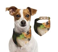 Tcoay Yorkshire Terrier Bokeh Lindos Perros Pared,Pañuelo con Babero para Mascotas, pañuelo para Perros y Gatos, Babero de Toalla, Bufanda Ajustable para Mascotas,M