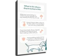 TCYNNQVD Dog Training Poster - Canvas Wall-Art of Bite Prevention Tips - Guide for Home, Office, and Pet Clinic Aesthetics(Framed,12x18inch(30x45cm))