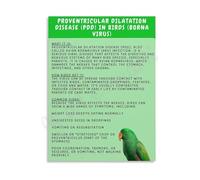 TCYNNQVD Veterinary Clinic Decor Canvas Poster Proventricular Dilatation Disease Pdd Borna Virus In Birds Educational Wall-Art(Framed,16x24inch(40x60cm))