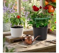 TDCuizent Anillos de soporte para plantas con clips, 4 juegos de estacas de jardín de medio círculo para plantas pequeñas, flores, tomates, exhibición vertical, plástico verde (pequeño 14 cm o grande