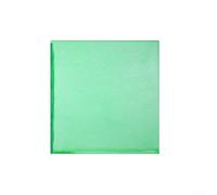 TDCuizent Bolsas de red de protección para plantas con cremallera y cordón, malla fina, para jardín, árboles frutales, arbustos y arbustos, para proteger de pájaros, ciervos e insectos, verde (1,8 x