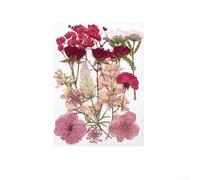 TDCuizent Paquete de material de bricolaje de flores secas para manualidades y decoración floral, flores preservadas naturales para marcadores, fundas de teléfono, marcos de fotos, kit mínimo de
