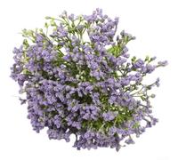 TDCuizent Ramo de flores artificiales de Gypsophila realistas para fotografía de boda y decoración del hogar, arreglo de espuma de seda de larga duración, 32 cm, elegantes accesorios florales, varios
