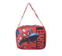 TDL Bolsa de almuerzo infantil con diseño de Spiderman, lonchera escolar con cremallera, bolsa aislante para niños y niñas