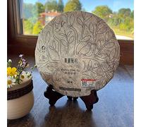 Té Blanco Orgánico Wind and Moon Wu Liang 357gr - Tea Soul