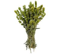 Té de Montaña Griego Malotira 220g - 1.95Kg 100% Natural Sideritis Syriaca Malotira (950 gramos)