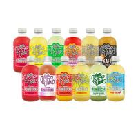 Té kombucha. Komvida. Kit multisabor. 12 botellas de kombucha orgánica. 250 ml. Envío en frío.