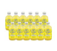 Té kombucha. Komvida. Kit sabor jengibre y limón. 12 botellas de 250 ml. Envío en frío.