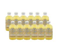 Té kombucha. Komvida. Kit sabor Manzana, canela y vainilla. 12 botellas de 250 ml. Envío en frío.