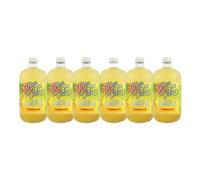 Té kombucha. Komvida. Kit sabor Mojito. 6 botellas de 750 ml. Envío en frío.