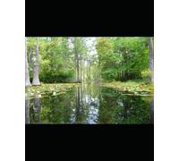 "TE LIRE FAIT DU BIEN…": - Un livre Pour Grandir et Mieux Vivre -