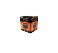 Té verde de China Gunpowder |555 (250 g)