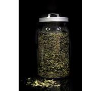 Té Verde Gunpowder a Granel - 1000g | Aromático y Refrescante, Ideal para Momentos de Relajación y Bienestar