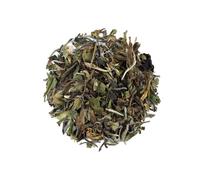 TEA SHOP - Té Blanco Pai Mu Tan 500g - 250 Tazas - Formato a Granel - White Tea - En Hojas - Floral - Antioxidante y Beauty