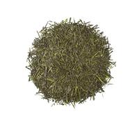 TEA SHOP - Té Verde Shincha Gyokuro Organic 50g - 25 Tazas - Formato a Granel - Green tea - En Hojas - Antioxidante y depurativo
