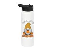 Teacher of Little Pumpkins Fall Gnome Stainless Steel Insulated Water Bottle