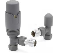 Team Controls TRV - Válvula termostática para radiador y protector de seguridad (15 mm), color gris antracita