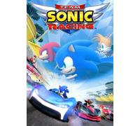 Team Sonic Racing Steam Key GLOBAL