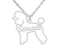 TEAMER Delicado Collar con Nombre de Perro Personalizado Colgante con Nombre de Animal Teckel Labrador Personalizado Grabado Joyería Conmemorativa de Mascota Para Mujer Hombre (Caniche)