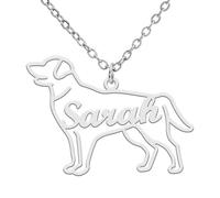 TEAMER Delicado Collar con Nombre de Perro Personalizado Colgante con Nombre de Animal Teckel Labrador Personalizado Grabado Joyería Conmemorativa de Mascota Para Mujer Hombre (Golden Retriever)