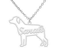 TEAMER Delicado Collar con Nombre de Perro Personalizado Colgante con Nombre de Animal Teckel Labrador Personalizado Grabado Joyería Conmemorativa de Mascota Para Mujer Hombre (Rottweiler)