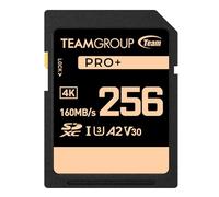TEAMGROUP PRO - Tarjeta de memoria SDXC UHS-I U3 A2 V30 4K UHD de 256 GB, velocidad de lectura/escritura de hasta 160/120MB/s para vloggers profesionales, cineastas, fotógrafos y curadores de