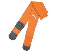 teamLIGA26 Socks Core