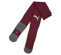 teamLIGA26 Socks Core