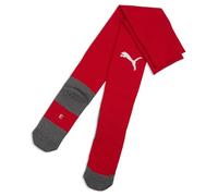teamLIGA26 Socks Core