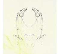 Tear It Down by My Brightest Diamond (2013-05-03)