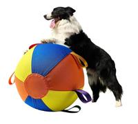 Tear-Resistant Herding Ball, Inflatable Giant Pet Water Toy, 30 Inch Interactive Exercise Ball with Rugged Build, Puncture Resistant Reinforced Enrichment Device with Style Balls for Park Pool