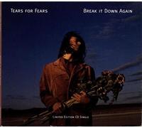 Tears For Fears - Break It Down Again