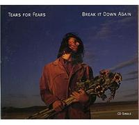 Tears for Fears - Break It Down Again / Bloodletting Go
