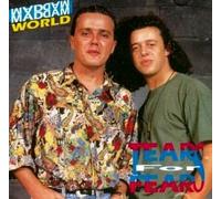 Tears For Fears - Mad World (Live in Santa Barbara 1990)