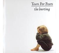 Tears For Fears - The Hurting