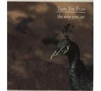 Tears For Fears - The Way You Are - Solid - Glossy P/S