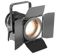 TEATRO SPOT FRESCO 100W BLANCO CÁLIDO; CLTS100WW (CAMEO) Cantidad X 1