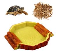 Teca Para Reptiles. Depósito De Agua Para Terrario Reptile Growth. Terrario Largo Para Hurones, Tarántulas, Dragones Barbudos, Tortugas Terrestres, Gecos Leopardos Y Serpientes.