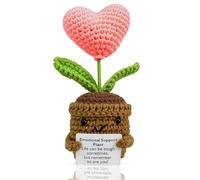 TECHEEL Pocket Hug Positive Flower Dankeschön Geschenke Positive Papa Deutsch Pocket Hug Glücksbringer für Freunde Kollegen und Famili Glücksbringer Danke Geschenk