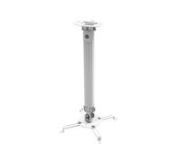 Techly ica-pm 18m montaje para projector techo plata