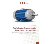 Techniques de commande des moteurs à induction: Principes fondamentaux et techniques avancées pour l'automatisation des systèmes électromécaniques.