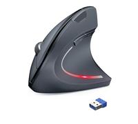 TechRise Ratón Vertical, 4800 dpi 5 Niveles Ajustable, Ratón Ergonomico Inalámbrico 2.4 G Óptico Mouse con Luces Indicadoras, Ratón Inalámbrico Silencioso, para Laptop, Desktop, PC, Macbook, Gris