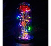 TECHSHARE Regalos Navidad Mujer, La Bella y la Bestia Rosa es un Regalos Ideal para Mujer, Novia, Mamá, Hermana, Esposas para el día de San Valentín, Día De La Madre, Navidad, Cumpleaños