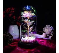 TECHSHARE Regalos Navidad Mujer, La Bella y la Bestia Rosa Regalo para Mujer, Flor Eterna en Cristal, Regalos para Mujeres, Cumpleaños, Día De San Valentín, Acción de Gracias, Navidad, Aniversario