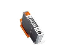 Techtek Cartucho de Tinta 14.5ml Compatible con [Canon] imagePROGRAF PRO-300 sustituye PFI-300MBK (4192C001)