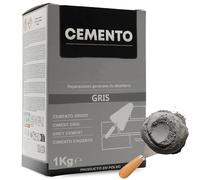 TECHZOCO Cemento Gris en polvo, Preparado de cemento, Producto en polvo, Indicado para colocación y encolado de agujeros, Uso interior y exterior, Color Gris, Contiene 1 Kg
