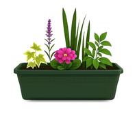TECHZOCO Jardinera de plástico sin Plato, Balconera plástico, Macetero para Jardín, Fabricado en Polipropileno, Apto balcón, Patio, Interior/Exterior, 60 cm Largo x 16.5 cm Alto x 18 cm Fondo, Verde