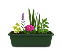 TECHZOCO Jardinera de plástico sin Plato, Balconera plástico, Macetero para Jardín, Fabricado en Polipropileno, Apto balcón, Patio, Interior/Exterior, 40 cm Largo x 15 cm Alto x 18 cm Fondo, Verde